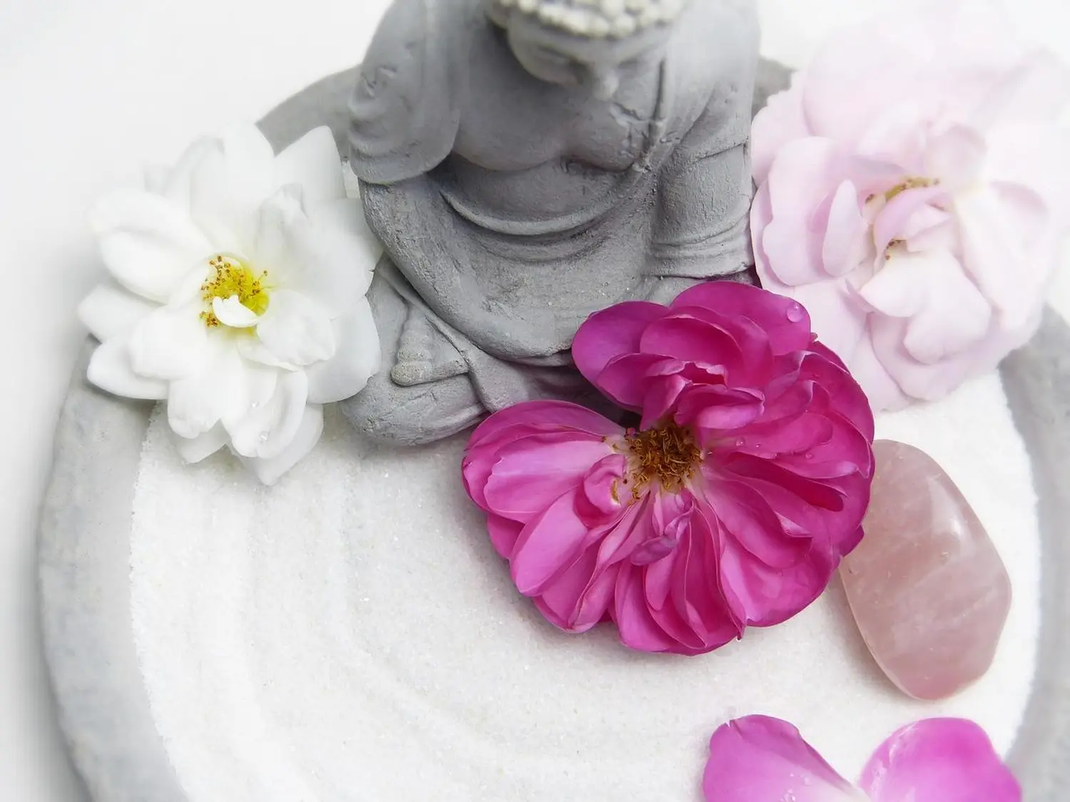 Gesundheitscoaching von Seelenerleuchtung